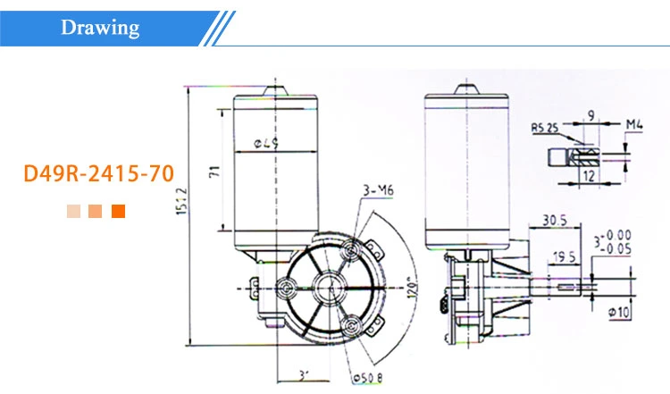 12V DC Motor Customized Worm Gear Reducers and Gearmotors