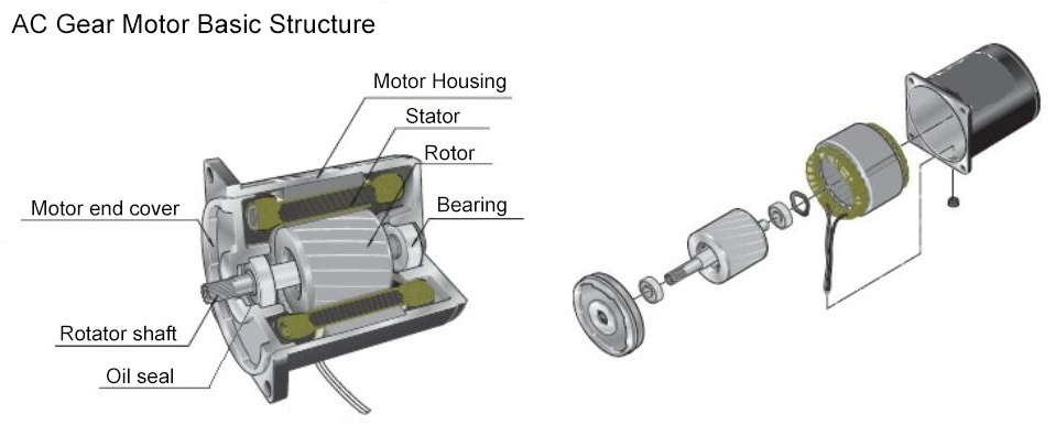Speed Control Micro Induction AC Gear Reduction Motor