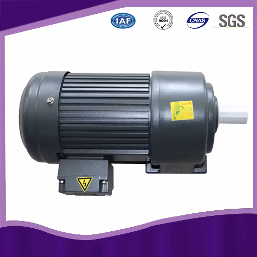 Houle Medium Gear Reduction Motor Ghh Asynchronous Motor with Brake and Reducer