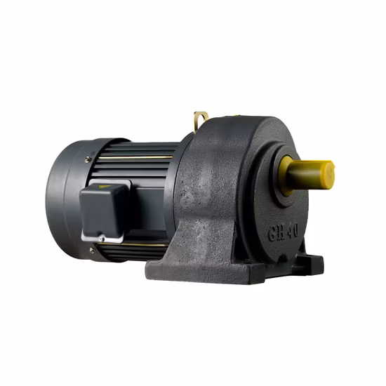 Gpg CH Horizontal Mounted Single Phase Three Phase Medium Gear Motor